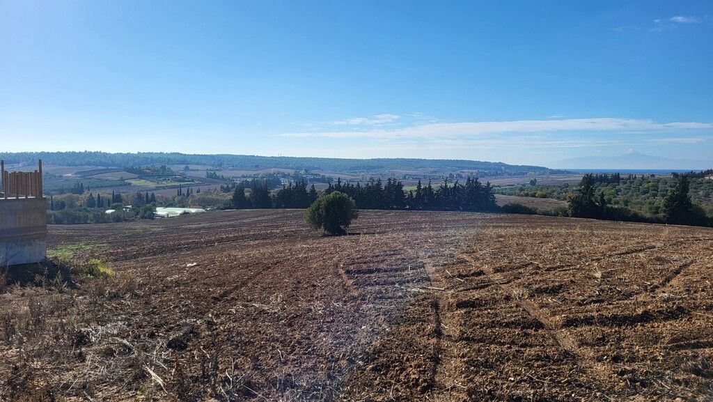 Земля на Кассандре, Греция, 13 600 м² - фото 4