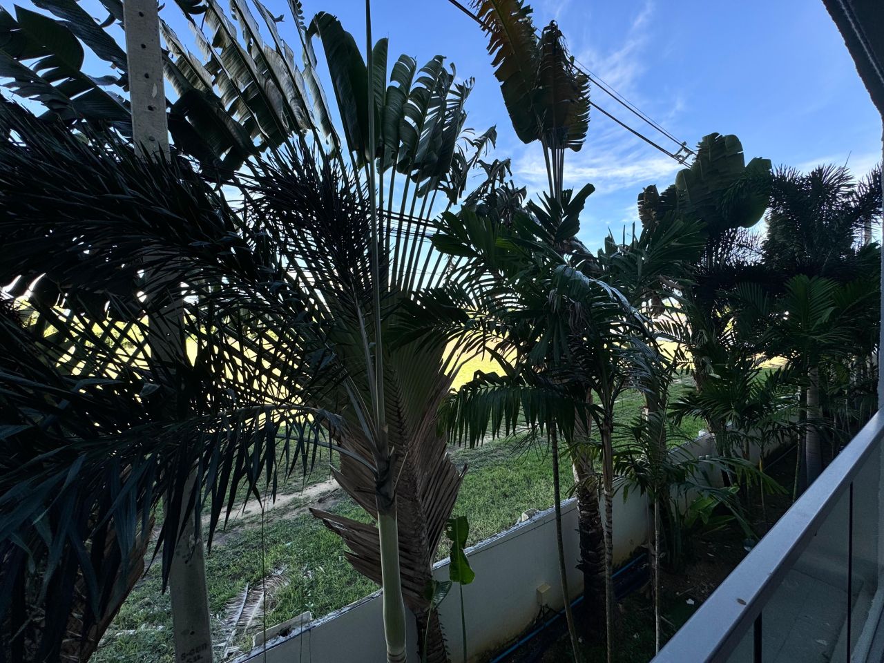 Студия в Паттайе, Таиланд, 26 м² - фото 11