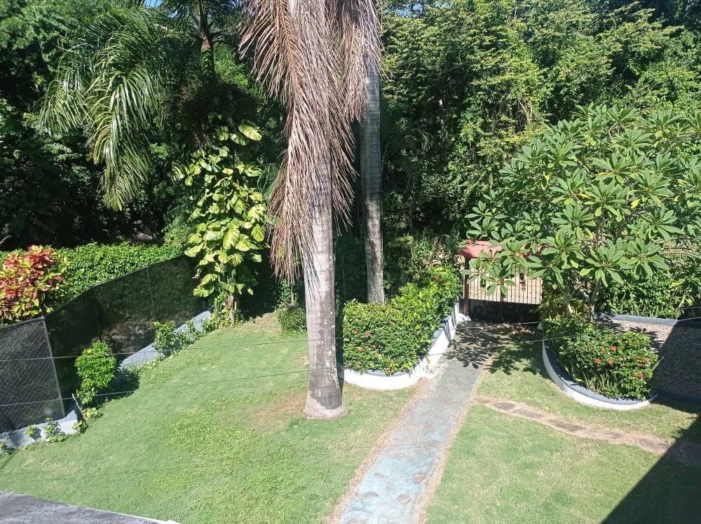 Отель, гостиница в Сосуа, Доминиканская Республика, 700 м² - фото 5