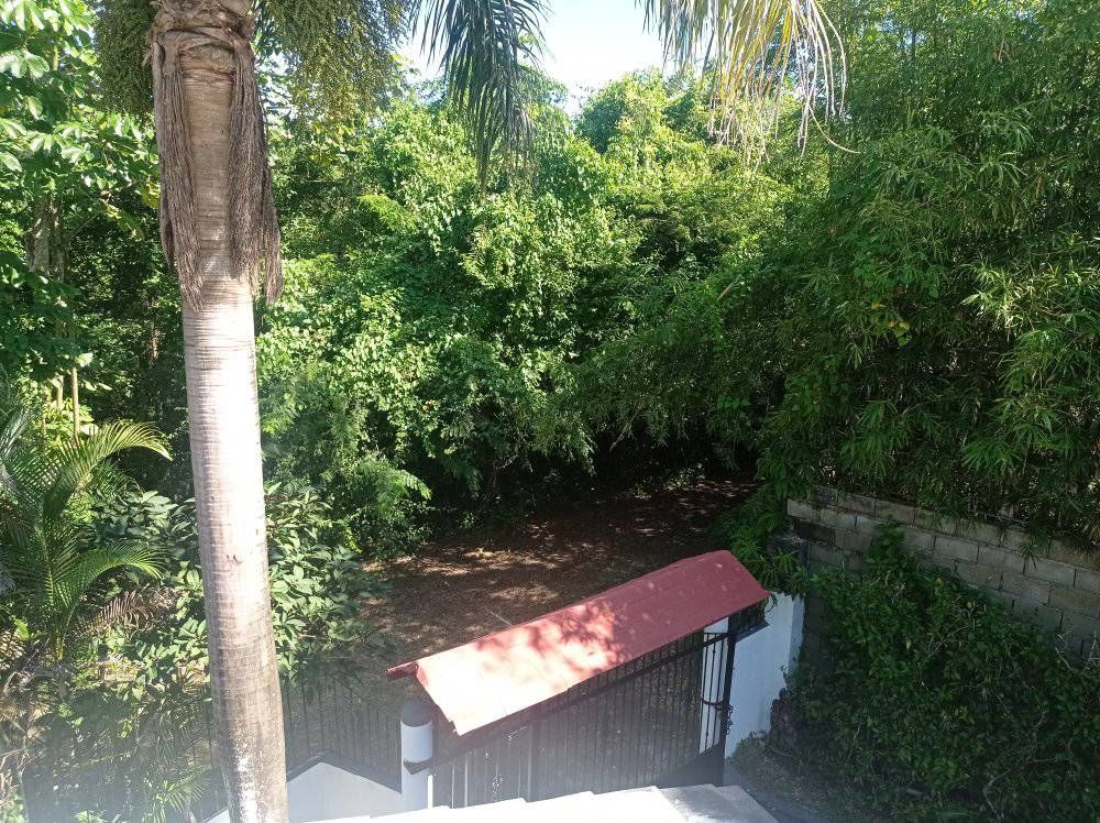 Отель, гостиница в Сосуа, Доминиканская Республика, 700 м² - фото 6