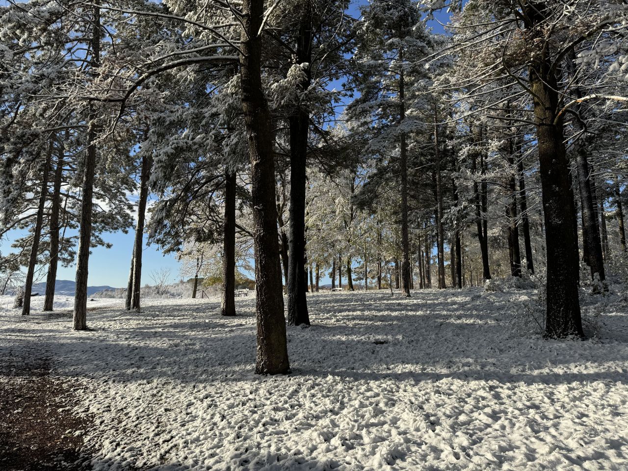 Дом в Тополе, Сербия, 200 м² - фото 16