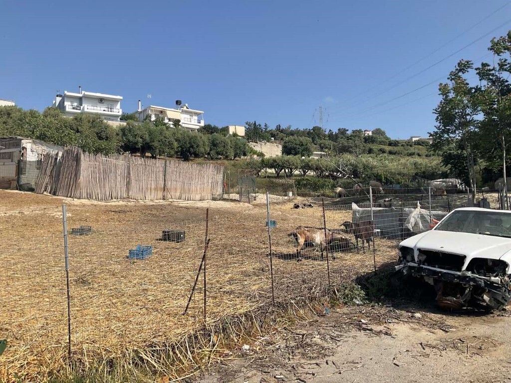 Земля в Ираклионе, Греция, 790 м² - фото 2