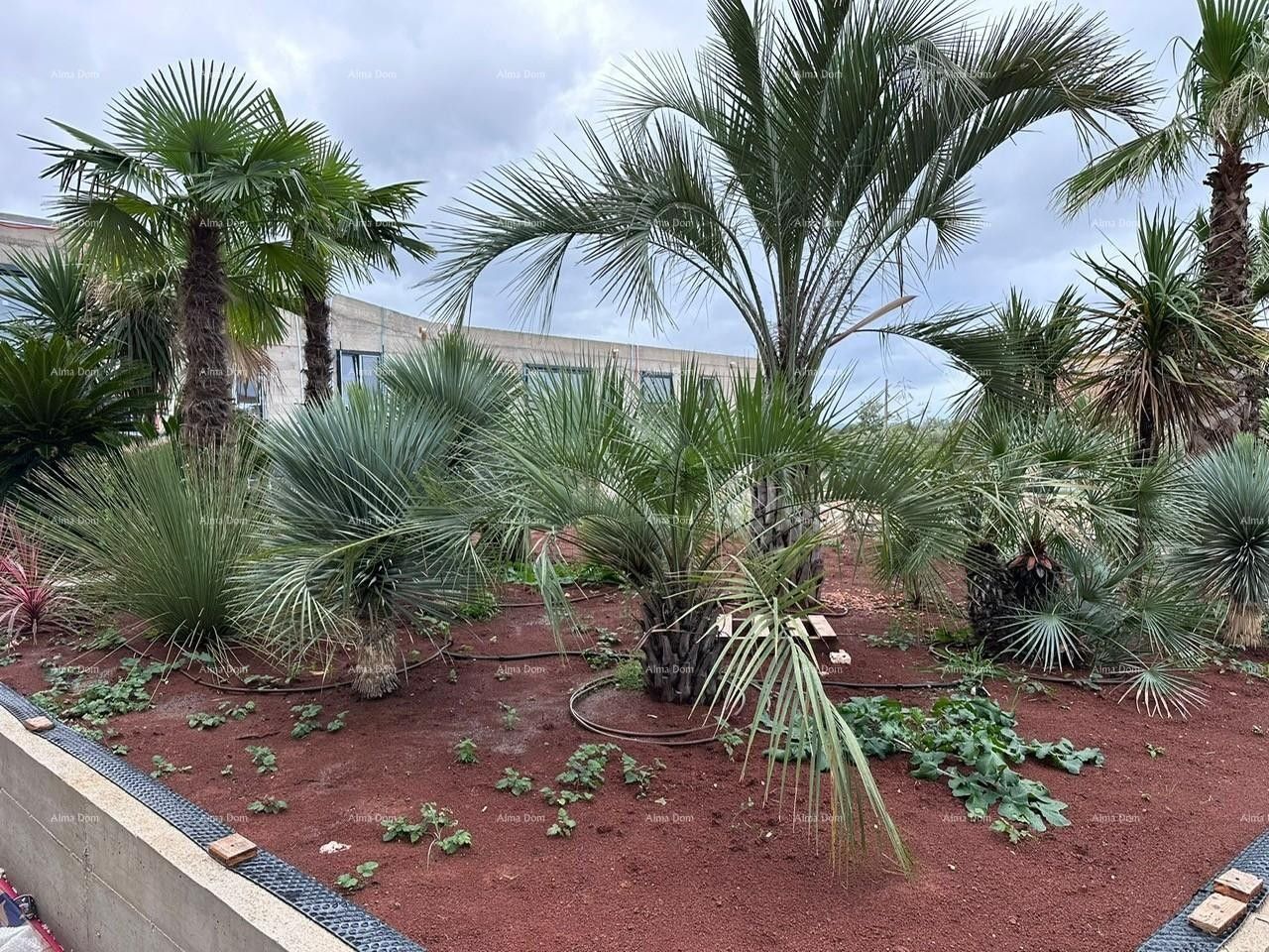 Квартира в Порече, Хорватия, 167.14 м² - фото 19