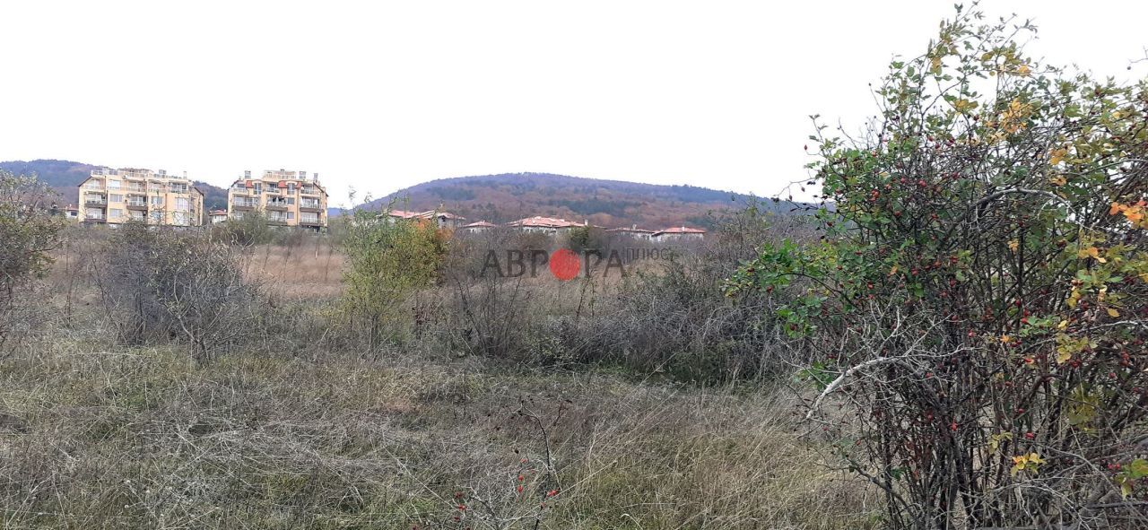 Земля в Кошарице, Болгария, 1 175 сот. - фото 5