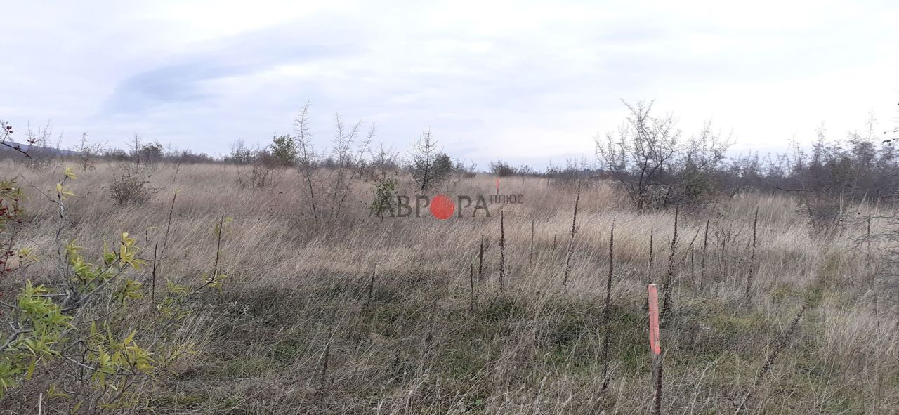 Земля в Кошарице, Болгария, 1 175 сот. - фото 4