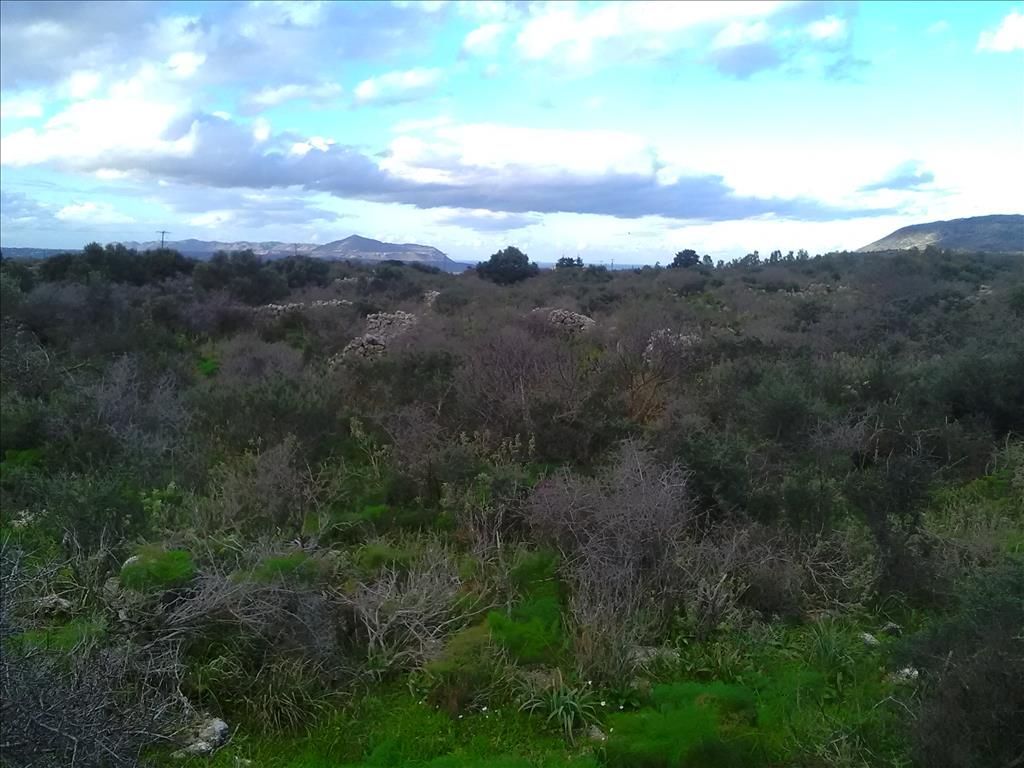 Земля в Ираклионе, Греция, 9 800 м² - фото 2