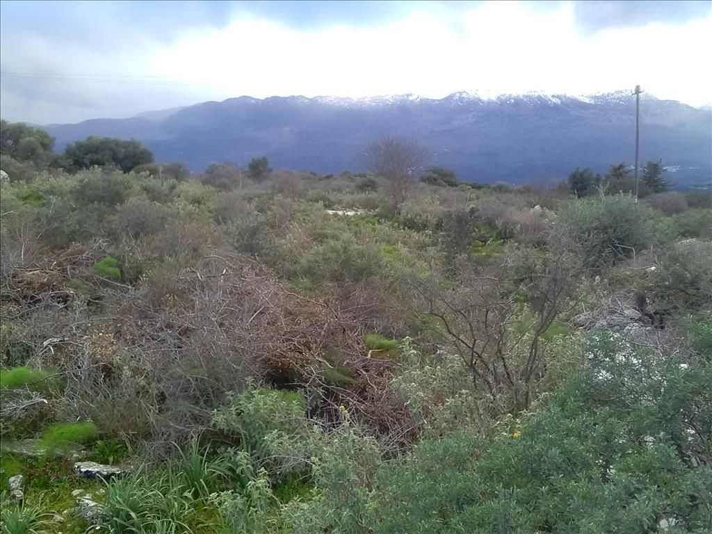 Земля в Ираклионе, Греция, 9 800 м² - фото 4