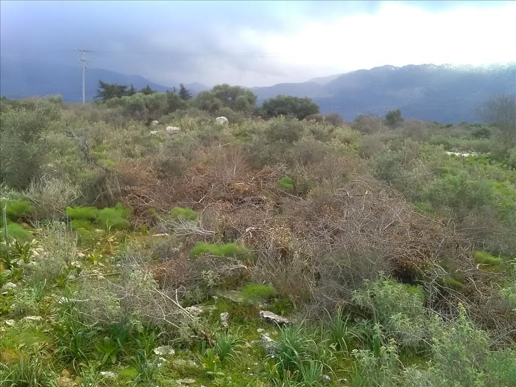 Земля в Ираклионе, Греция, 9 800 м² - фото 5