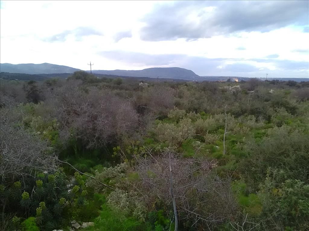 Земля в Ираклионе, Греция, 9 800 м² - фото 8