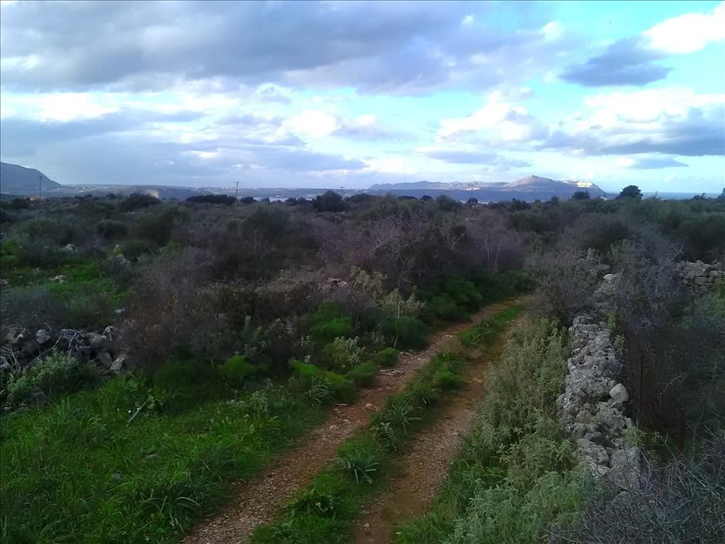 Земля в Ираклионе, Греция, 9 800 м² - фото 14