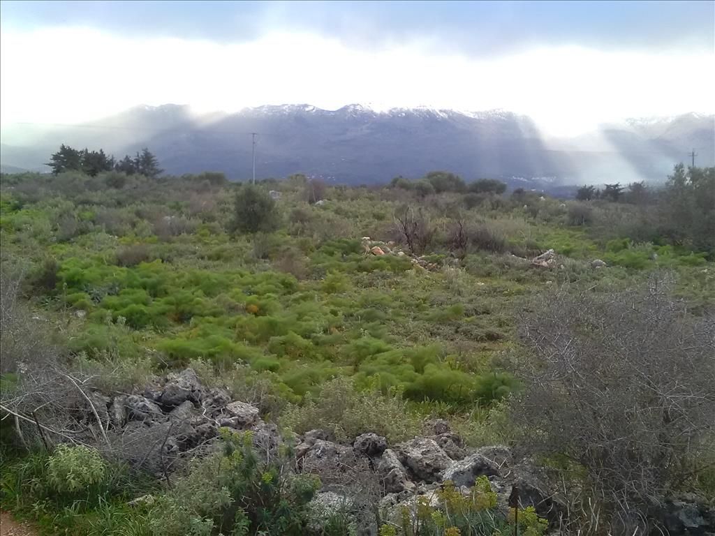 Земля в Ираклионе, Греция, 9 800 м² - фото 17