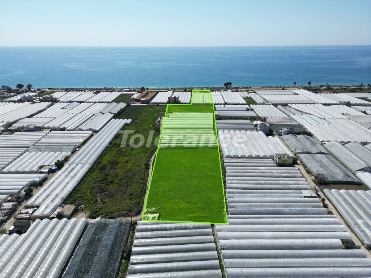 Земля в Анталии, Турция - фото 3