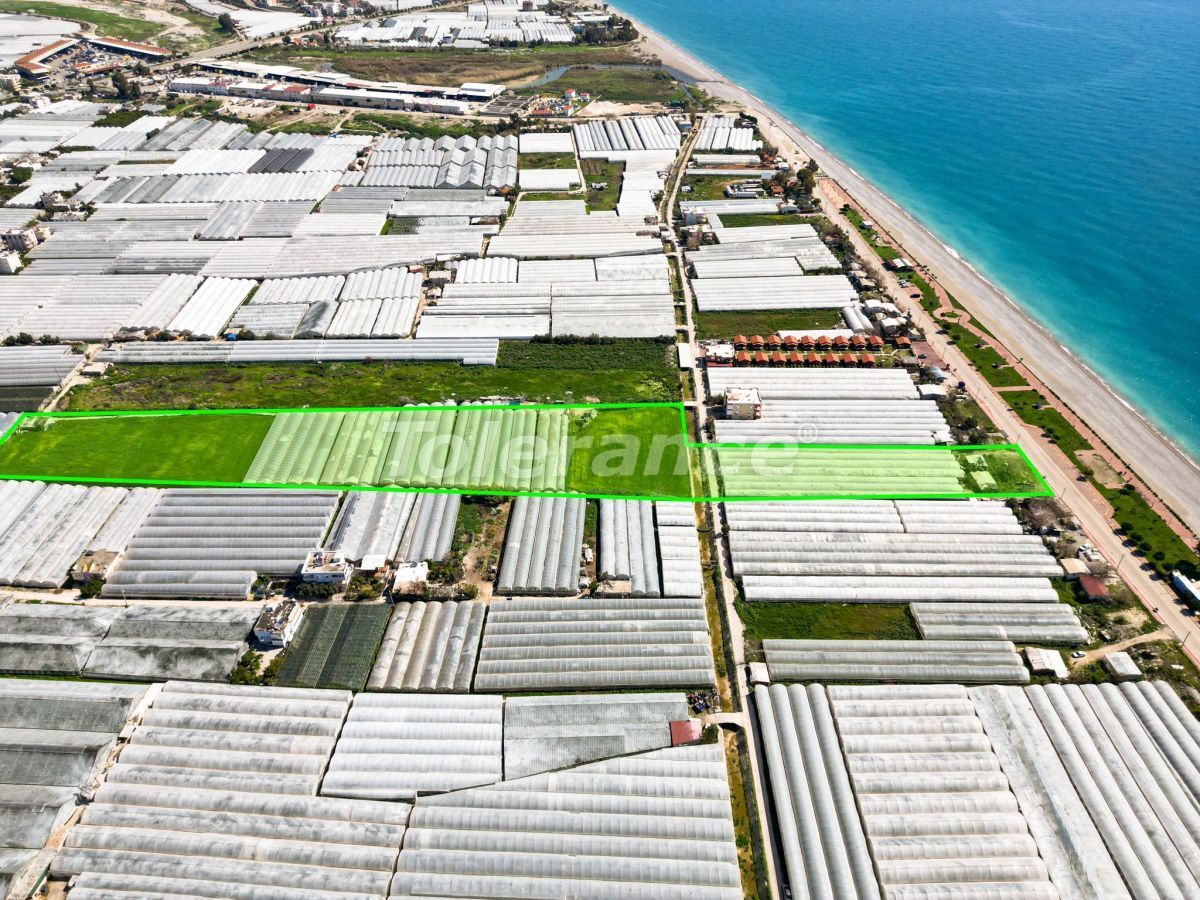 Земля в Анталии, Турция - фото 5