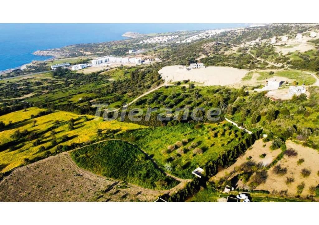 Вилла в Эсентепе, Кипр, 200 м² - фото 6