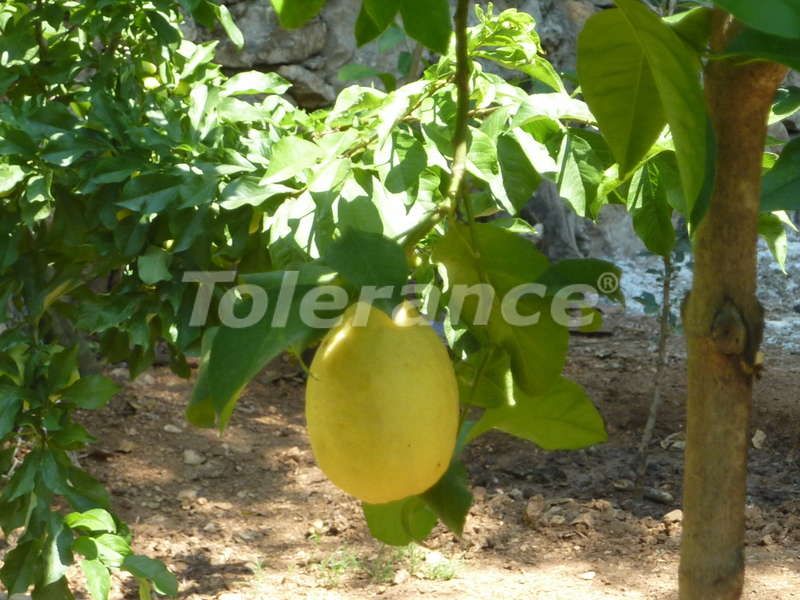 Вилла в Кемере, Турция, 120 м² - фото 14