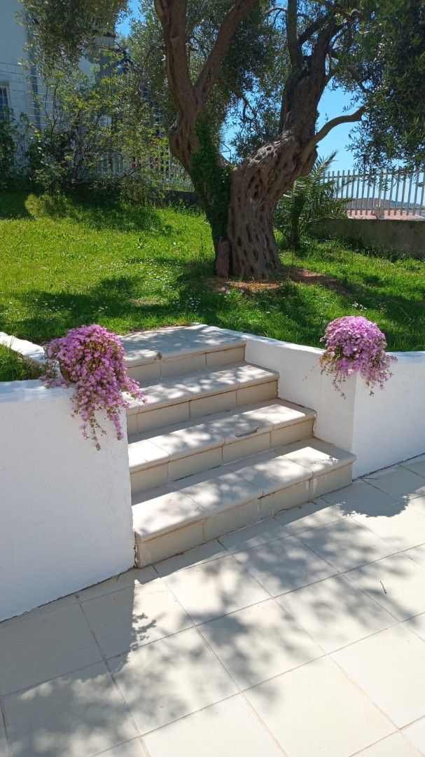 Дом в Баре, Черногория, 310 м² - фото 7