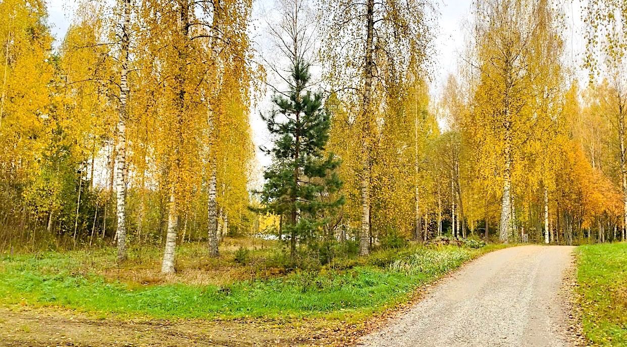 Земля в Хямеэнлинна, Финляндия, 1.5 Га - фото 11