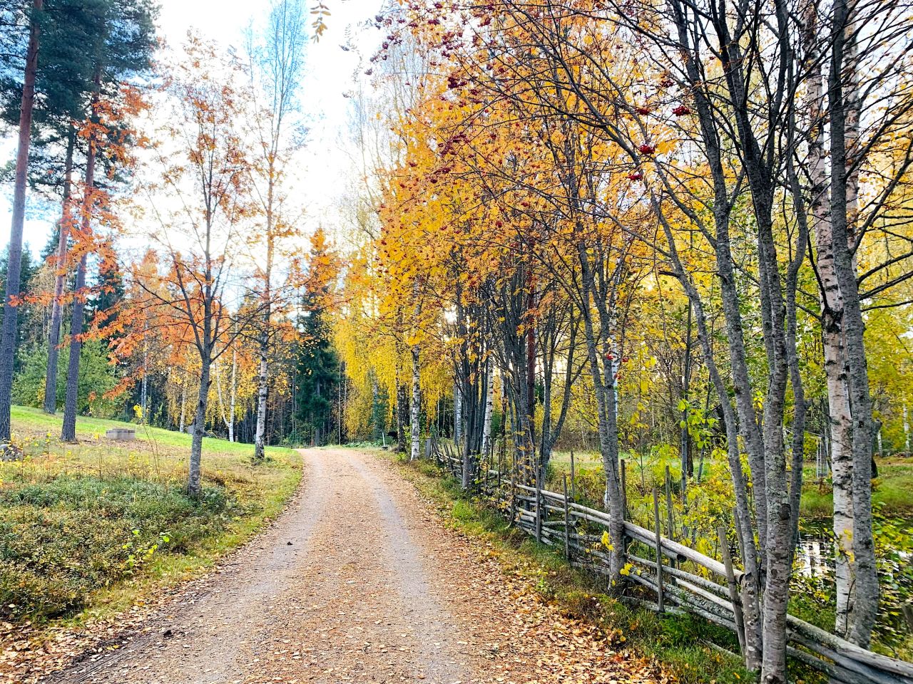 Земля в Хямеэнлинна, Финляндия, 1.5 Га - фото 9