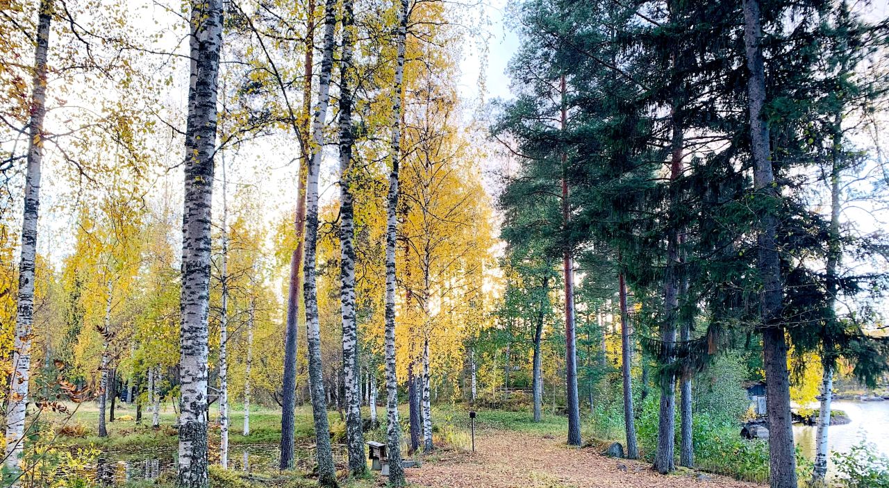 Земля в Хямеэнлинна, Финляндия, 1.5 Га - фото 8