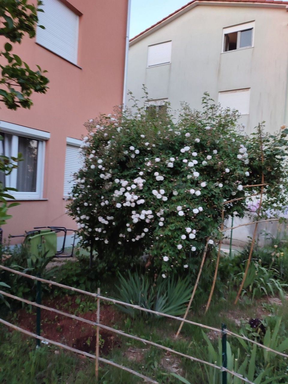 Квартира в Лижняне, Хорватия, 60 м² - фото 12