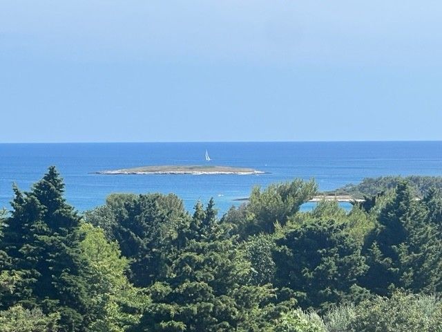 Дом в Премантуре, Хорватия, 265 м² - фото 3