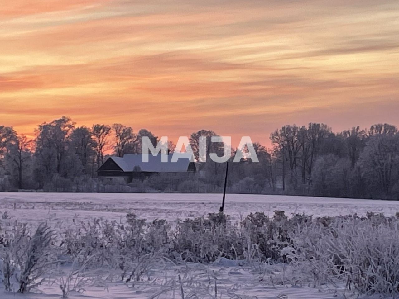 Производство Sidgunda, Латвия, 1 451 м² - фото 3