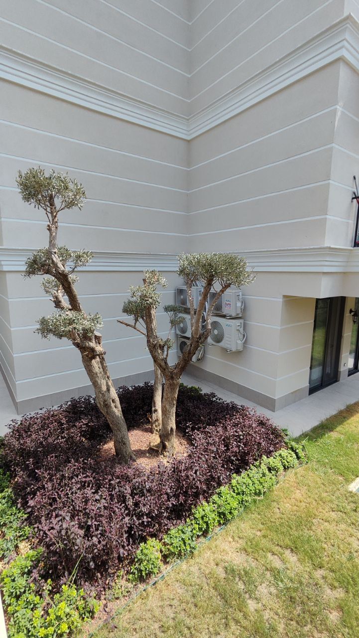 Квартира в Алании, Турция, 51 м² - фото 13