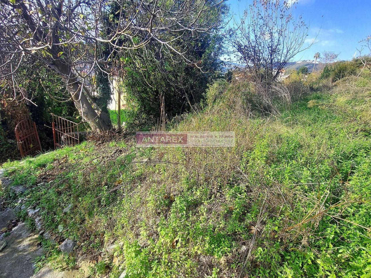 Земля в Зеленике, Черногория, 634 м² - фото 5