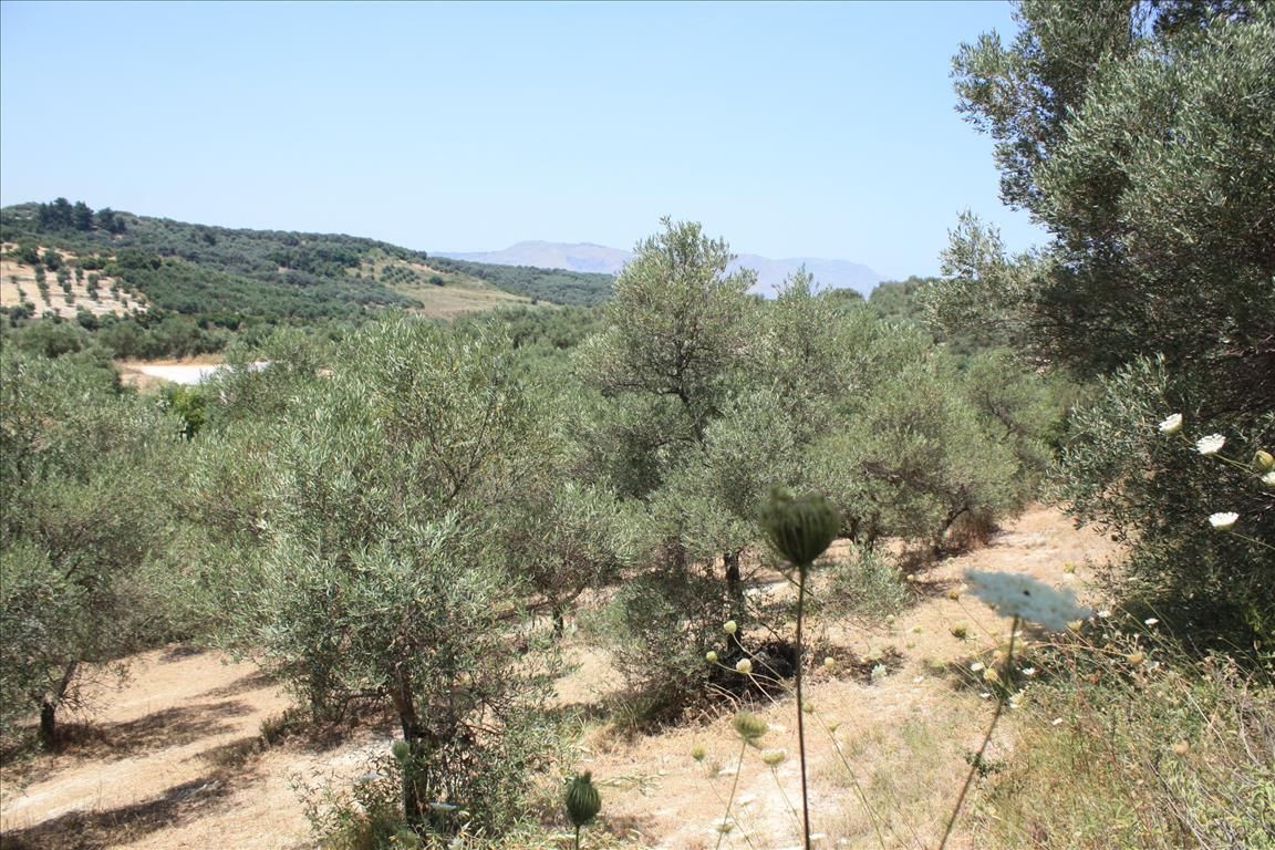 Земля в Ираклионе, Греция, 4 647 м² - фото 4