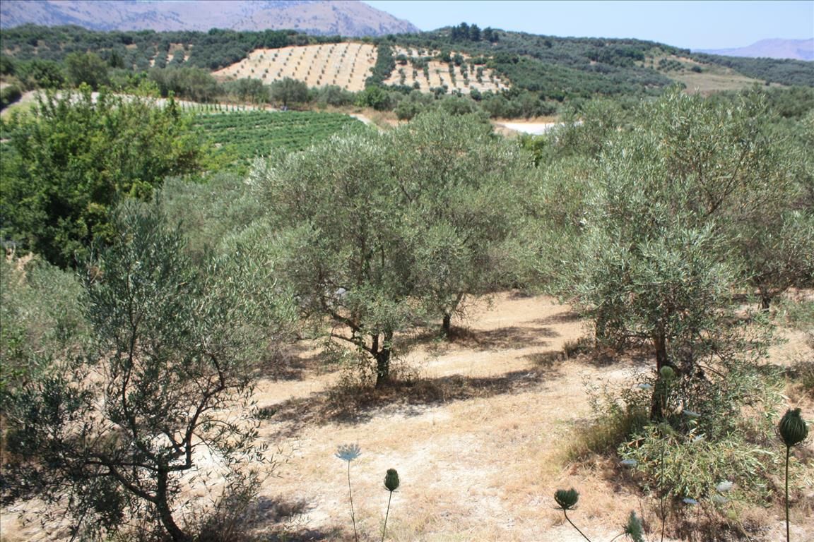 Земля в Ираклионе, Греция, 4 647 м² - фото 5