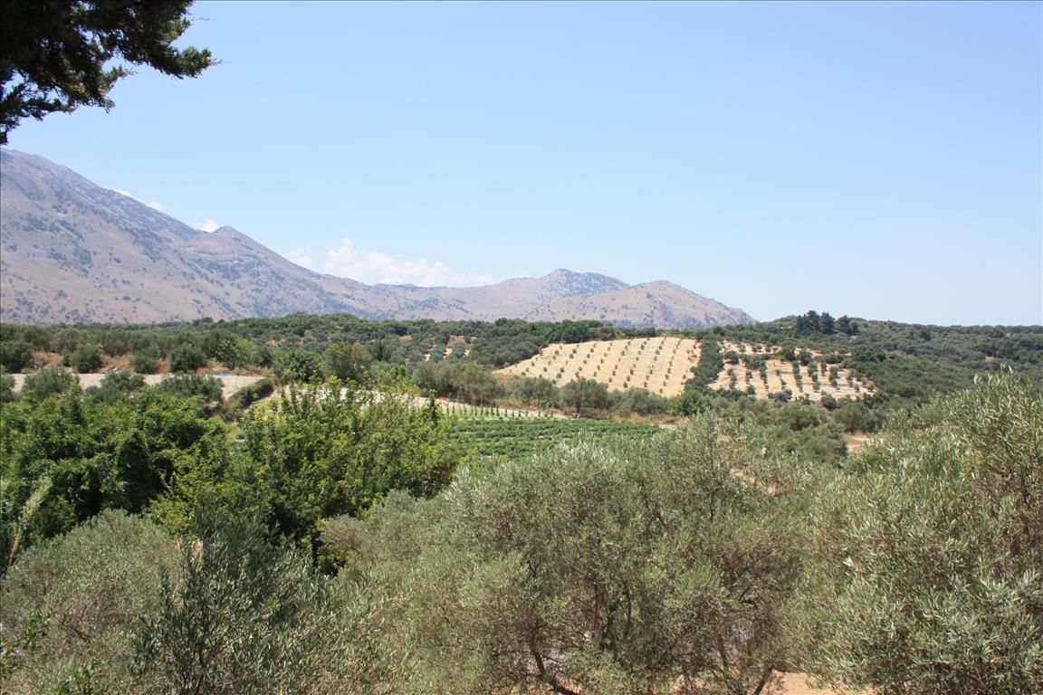 Земля в Ираклионе, Греция, 4 647 м² - фото 6