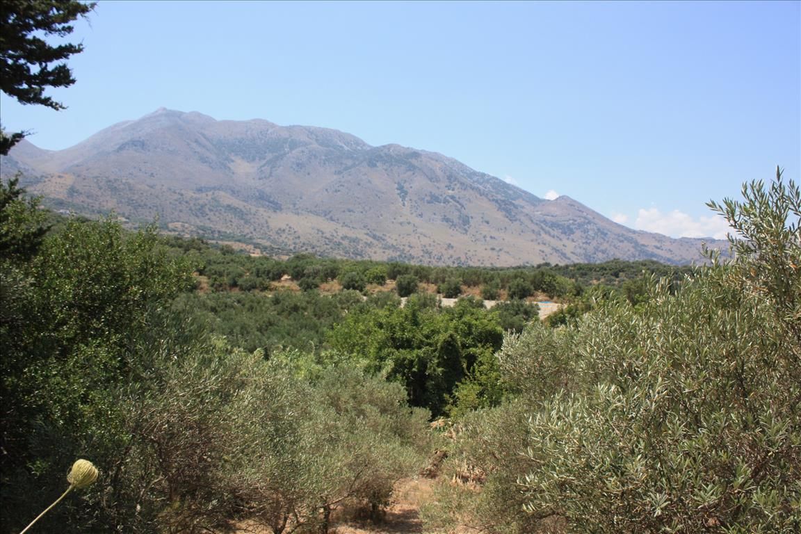 Земля в Ираклионе, Греция, 4 647 м² - фото 7