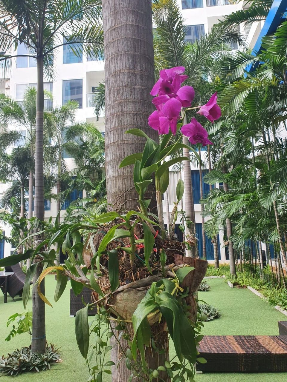 Студия в Паттайе, Таиланд, 28 м² - фото 7