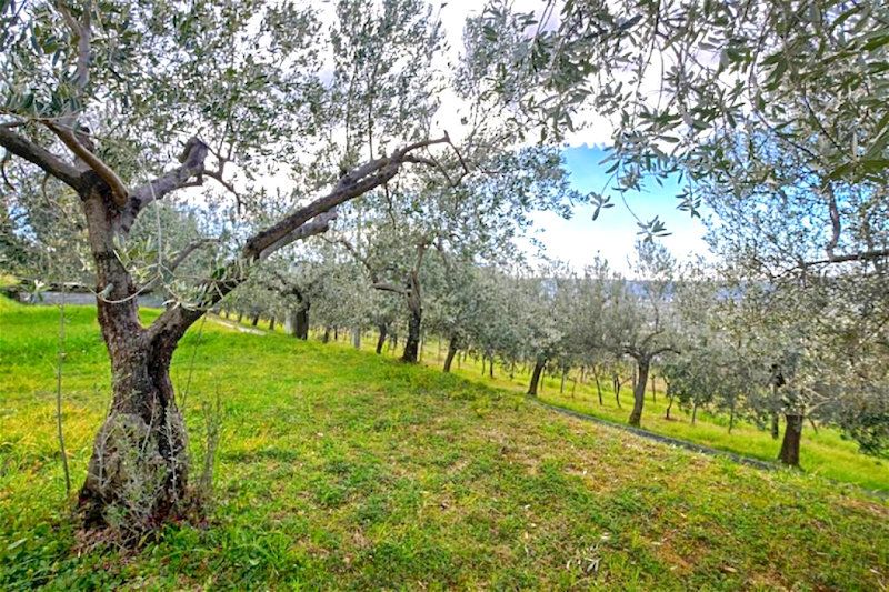 Дом в Пиране, Словения, 316 м² - фото 6