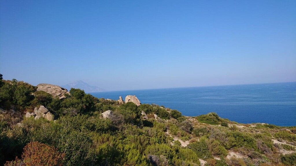 Земля на Халкидиках, Греция, 500 м² - фото 8