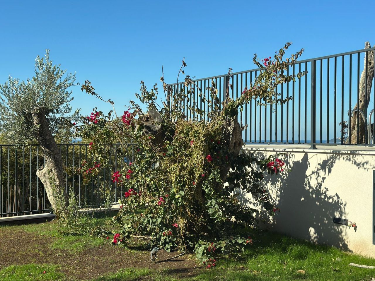 Таунхаус в Режевичах, Черногория, 195 м² - фото 9