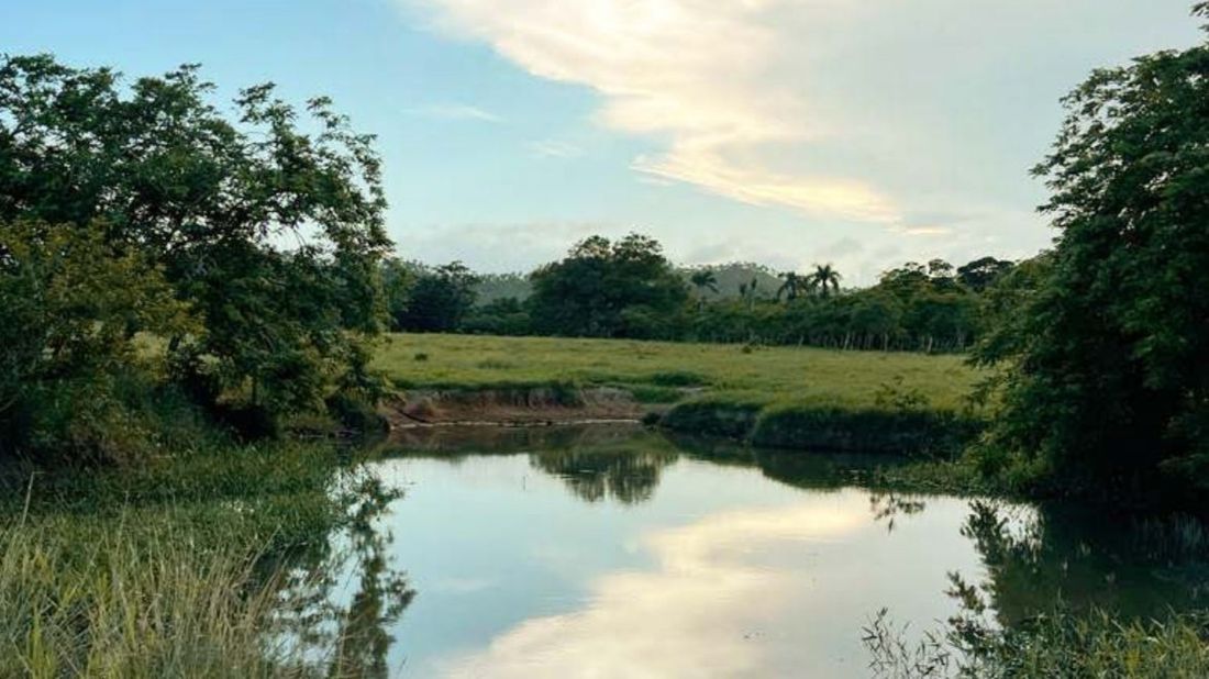 Земля в Пунта-Кана, Доминиканская Республика, 697 м² - фото 6