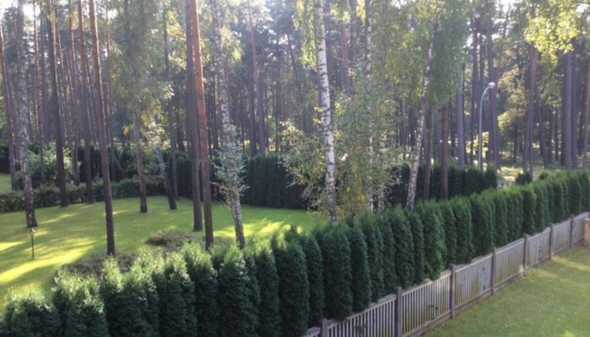 Квартира в Дзинтари, Латвия, 116 м² - фото 9