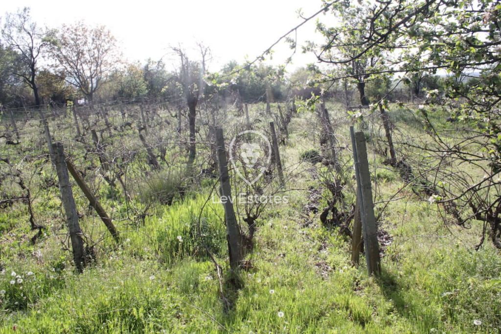 Дом в Горице, Болгария, 60 м² - фото 13