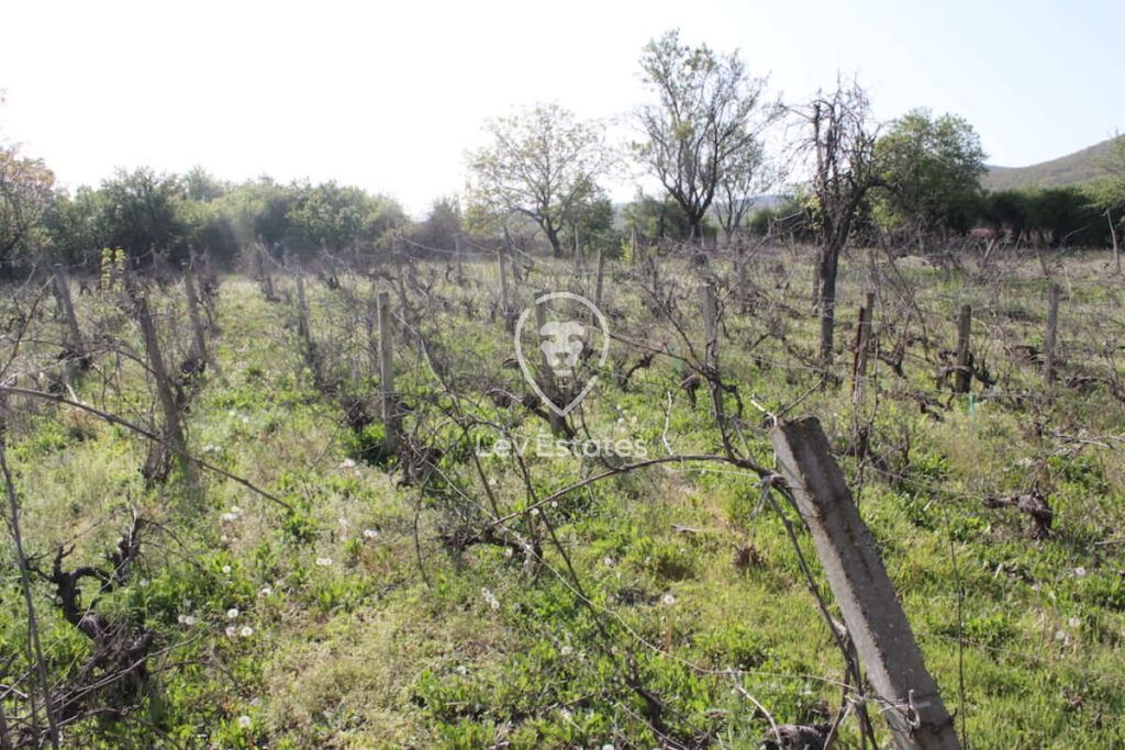 Дом в Горице, Болгария, 60 м² - фото 14