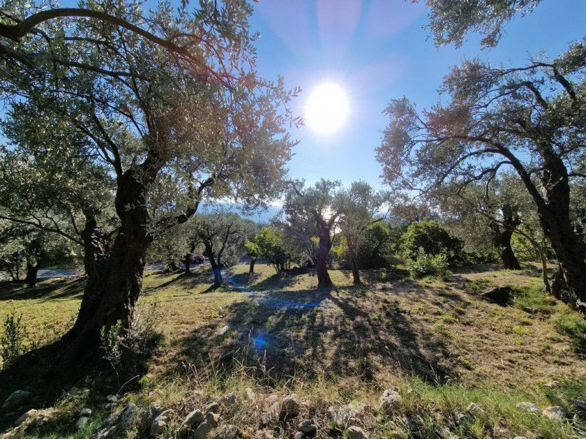 Земля в Режевичах, Черногория, 1 700 м² - фото 6