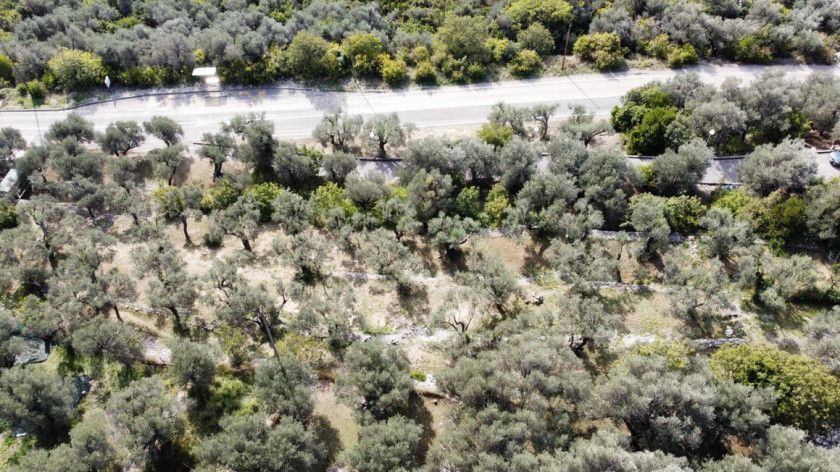 Земля в Режевичах, Черногория, 1 700 м² - фото 8