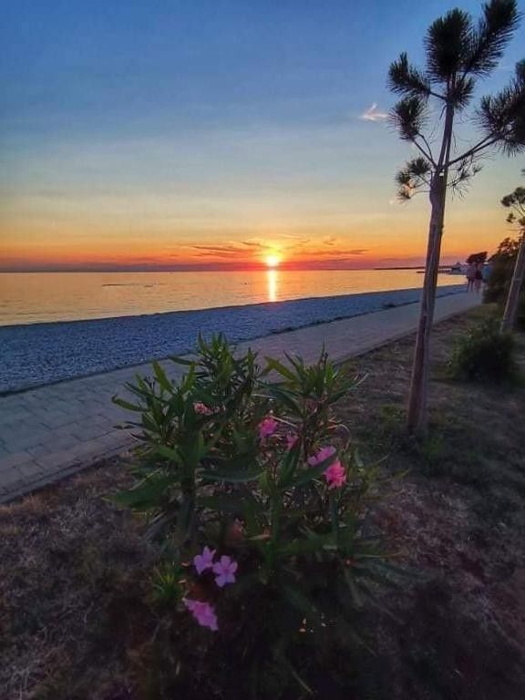 Дом в Перое, Хорватия, 210 м² - фото 16