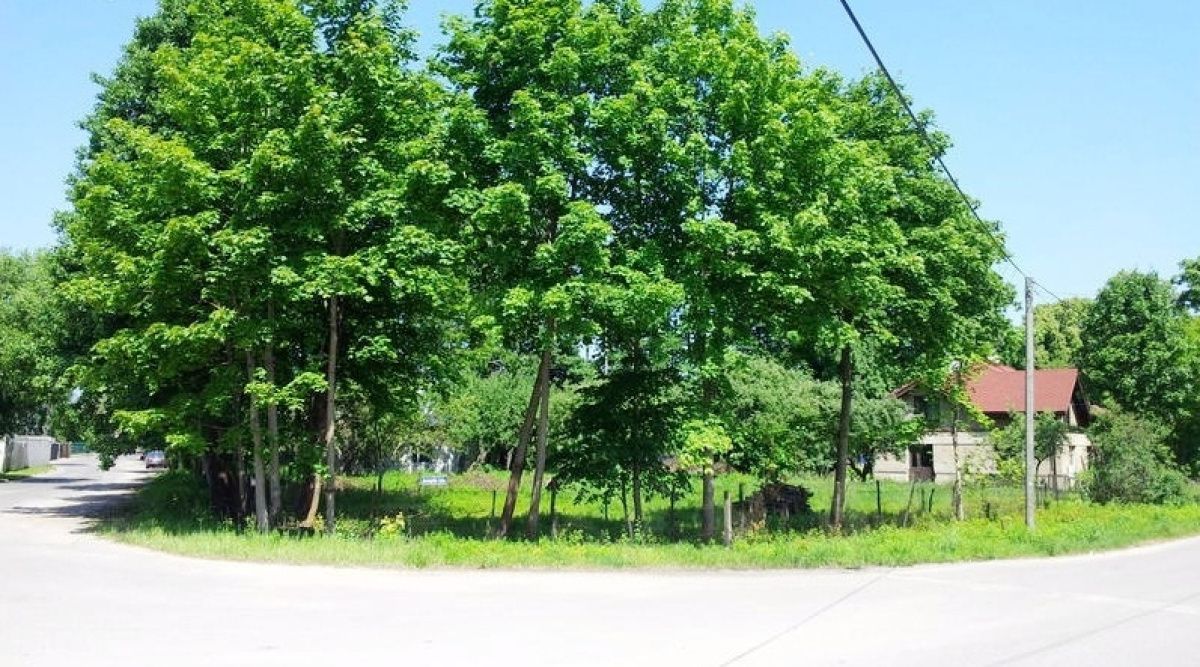 Коммерческая недвижимость в Риге, Латвия, 2 469 м² - фото 2