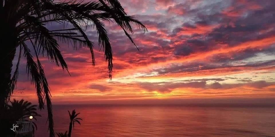 Бунгало в Торревьехе, Испания, 72 м² - фото 13