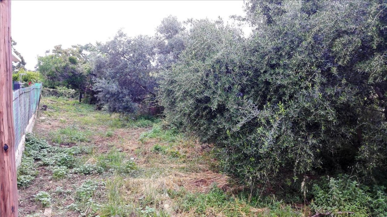 Земля в Ираклионе, Греция, 400 м² - фото 4