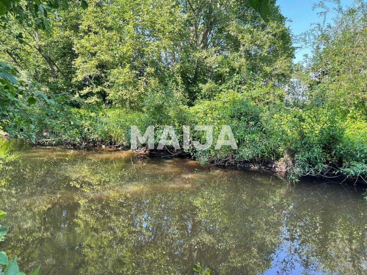 Земля Alliku küla, Эстония - фото 4