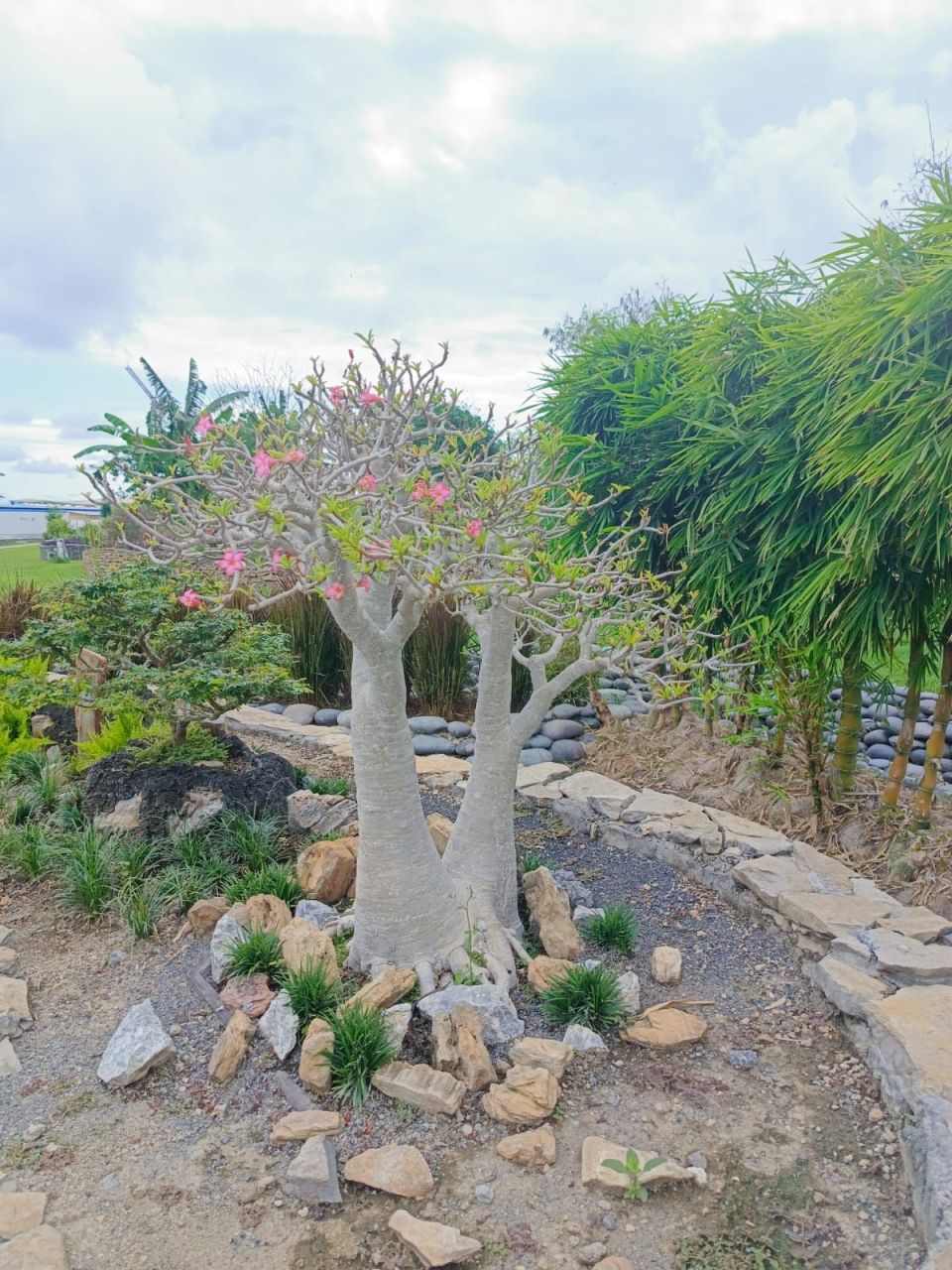 Вилла в Чангу, Индонезия, 300 м² - фото 5