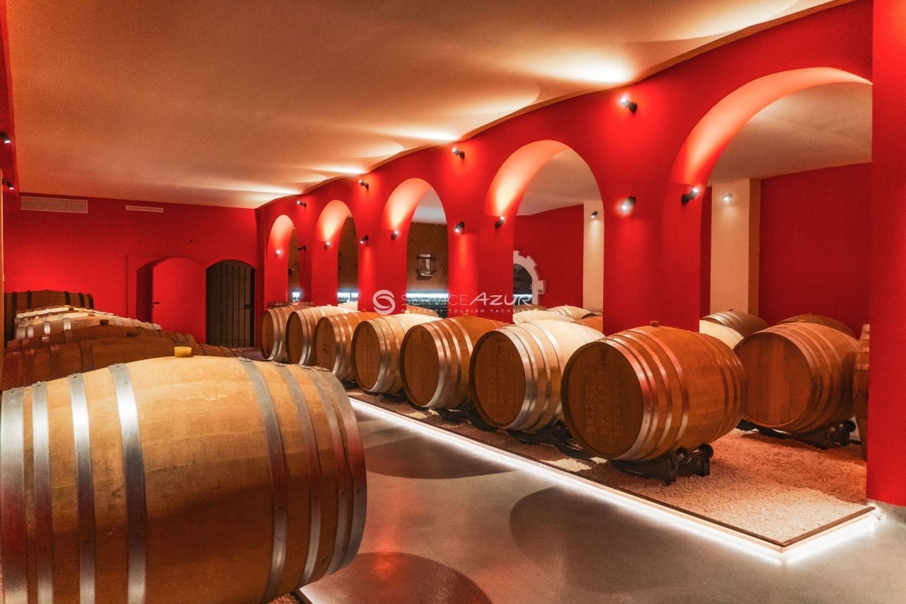 Вилла в Ницце, Франция, 120 000 м² - фото 12