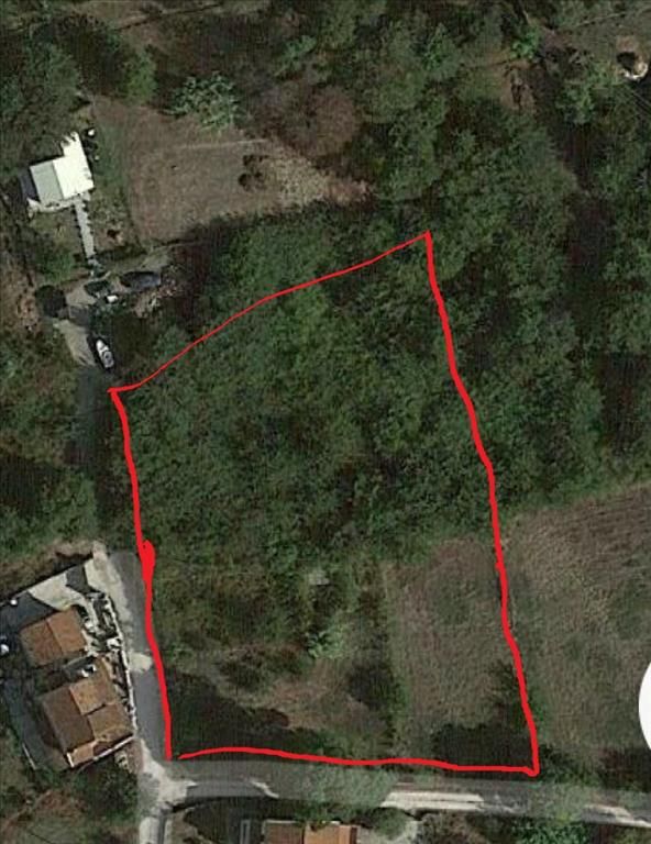 Земля на Корфу, Греция, 4 000 м² - фото 1